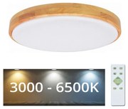 Plafonieră LED dimabilă PINE LED/24W/230V Brilagi + telecomandă