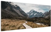 Tablou - Poteca în valea muntelui Mt. Cook (120x50 cm)