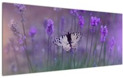 Tablou - fluture în lavandă (120x50 cm), în 40 de alte dimensiuni noi