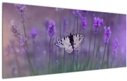 Tablou - fluture în lavandă (120x50 cm)