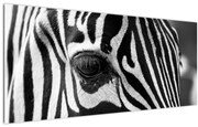 Tablou cu zebră (120x50 cm)