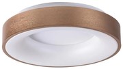 Rabalux 5052 - Plafonieră LED CARMELA LED/30W/230V