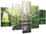 Tablou - trepte din lemn în pădure (150x105 cm)