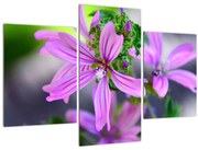 Tablou cu floarea detailat (90x60 cm)