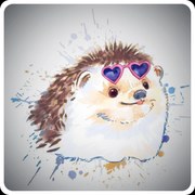 Pictura pe numere cu un cadru "Arici" 50x40 cm