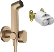 Set dus igienic cu corp ingropat Hansgrohe Bidette S EcoSmart 1 jet bronz periat
