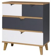 Comodă Thalia TM05 K4SZ (stejar auriu + grafit + Alb). 1058334