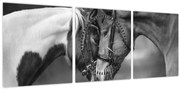 Tablou - Cai îndrăgostiți,alb-negru (cu ceas) (90x30 cm)