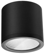 Spot LED aplicat de exterior IP54 CONYON 25W CCT SWITCH