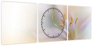 Tablou - Floare fragedă (cu ceas) (90x30 cm)