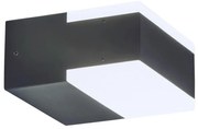 Rabalux 8060 - LED Corp de iluminat perete exterior BONA 2xLED/4,5W