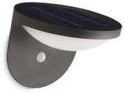 Philips 17808/93/16 - LED exterior Solar lampa cu senzor DUSK 1xLED/1W/3,7V