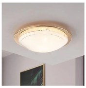 EGLO 83157 - Plafoniera pe lant1 1xE27/60W