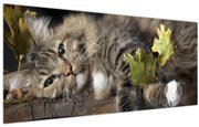 Tablou - Pisica mincinoasă (120x50 cm)