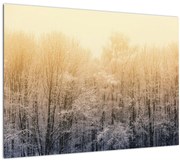 Tablou pe sticlă cu pădure geroasă (70x50 cm)