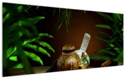 Tablou cu obiectele spa (120x50 cm)
