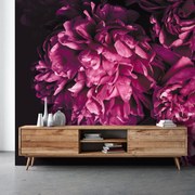Fototapet - Flori (147x102 cm)
