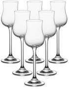 Set de pahare pentru grappa/rom Tescoma CHARLIE, 6buc, 110 ml