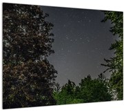 Tablou cu cerul nocturn (70x50 cm)