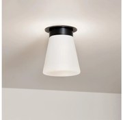 Kichler KL-ALBERS-F-T-BK Plafonieră de tavan ALBERS 1x E27/40W/230V Ø 21,6 cm, negru