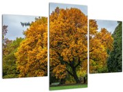 Tablou cu copac (90x60 cm)