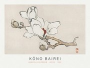 Reproducere Magnolia Blossom (Special Edition Japandi) - Kōno Bairei