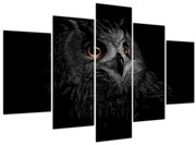 Tablou - Bufniță, ilustrație (150x105 cm)