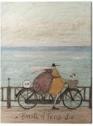 Tablou pe pânză Sam Toft - A Breath of Fresh Air