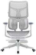 Scaun ergonomic SIHOO S50, suport lombar adaptiv, sezut cu translatie, spătar reglabil pe inaltime, mecanism multifunctional inclinare/blocare, cotiere 4D, pivotant, Mesh, Gri