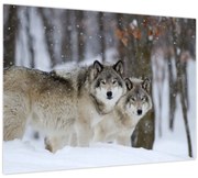 Tablou - Lupii în timpul iernii (70x50 cm)