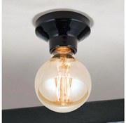 Orion - Plafonieră FROST 1xE27/60W/230V neagră