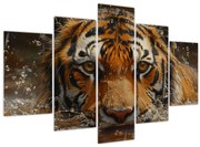 Tablou - Portret de tigru în apă (150x105 cm)