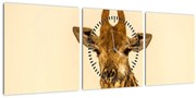 Tablou cu girafe (cu ceas) (90x30 cm)