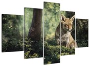 Tablou cu vulpe (150x105 cm)