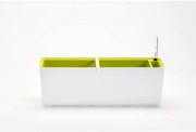 Ghiveci cu auto-irigare Plastia Berberis 60, alb +verde, 60 cm