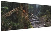 Tablou - În pădure (120x50 cm)