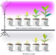 Lampadar LED dimabil pentru creșterea plantelor Brilagi VITABLOOM 4xLED/7,5W/230V