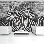 Fototapet - Zebre pe peretele din cărămizi (254x184 cm)