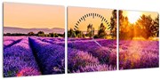 Tablou cu câmp de lavanda (cu ceas) (90x30 cm)