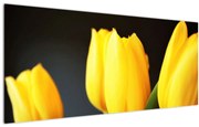 Tablou cu lalele (120x50 cm)