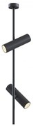 Lustra cu 2 spoturi directionabile Elti negru MY-C021CL-02B