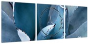 Tablou - Agave (cu ceas) (90x30 cm)