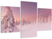 Tablou - Copaci sub așternut de zăpadă (90x60 cm)