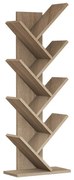 Biblioteca Hitit Walnut