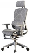 Scaun ergonomic, functie translatie sezut, cotiere reglabile 3D, tetiera 3D, suport lombar reglabil, spătar reglabil inaltime, pivotant, suport picioare, Gri