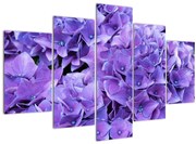 Tablou cu flori violete (150x105 cm)