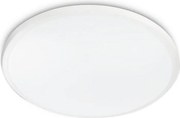 Philips - Plafonieră LED TWIRLY/17W/230V