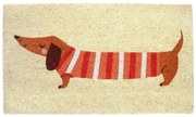 Covoraș de intrare din fibre de nucă de cocos 43x73 cm Sausage Dog – Rex London