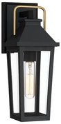 Quoizel QZ-BUCKLEY-S-MBK - Aplica de exterior pentru perete Buckley S 1xE27/40W/230V IP44