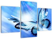 Tablou - Fluture, simbolul speranței (90x60 cm)